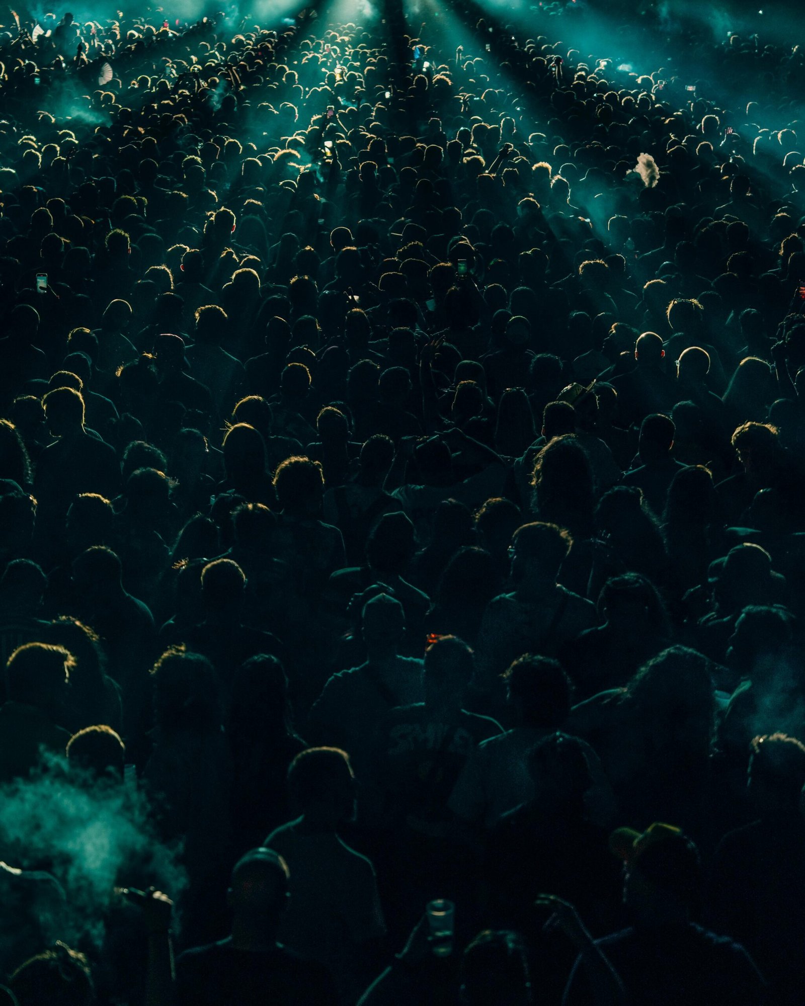 Crowd at the Concert at Night